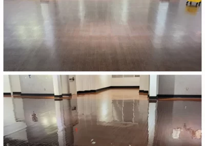 Professional Janitorial Service